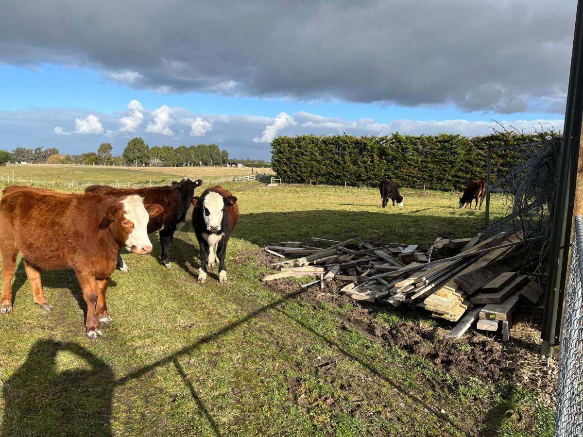 Ra-Ata Farm Bed & Breakfast Rangiora Luaran gambar